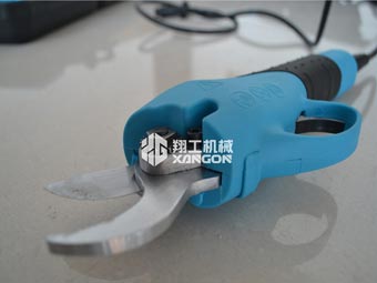 果樹修剪時，電動修枝剪助您一臂之力